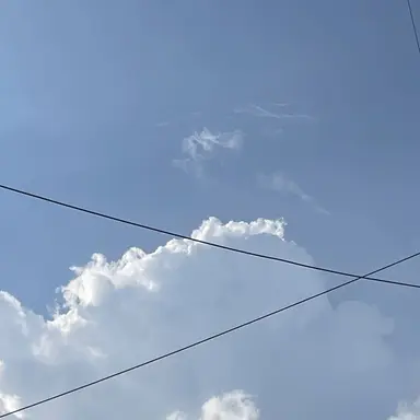 Profile image of 지은