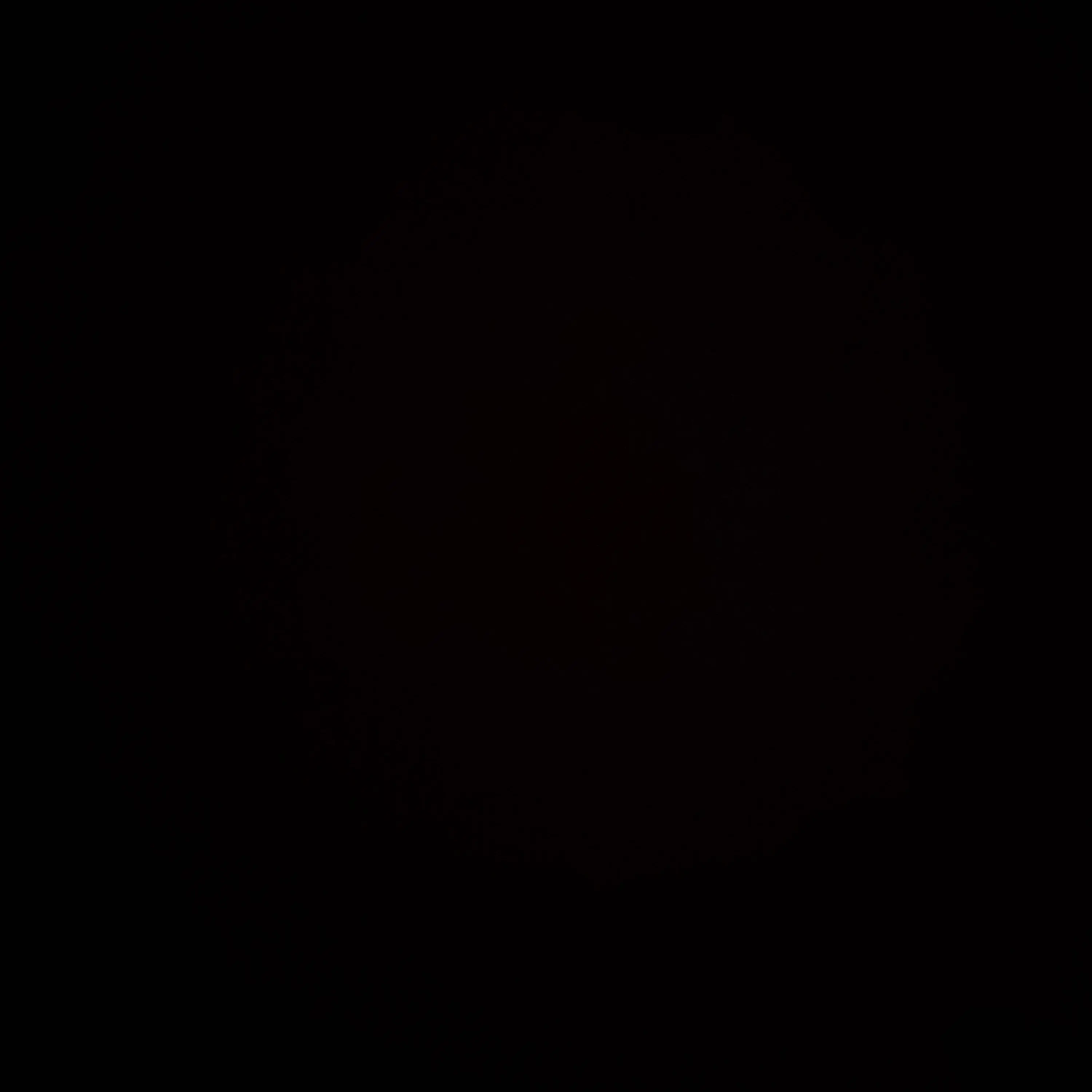 CasualCheck4671의 우당탕탕 대저택