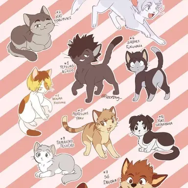 Profile image of 네코마