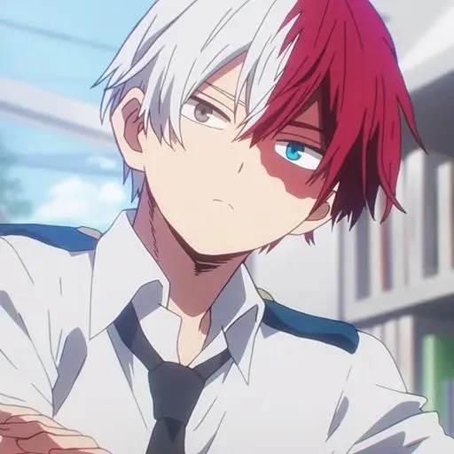 Kimsoogook의 토도로키 쇼토