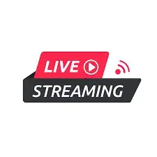QuaintWrist0314의 Live Streamer Life