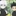 키르아,곤