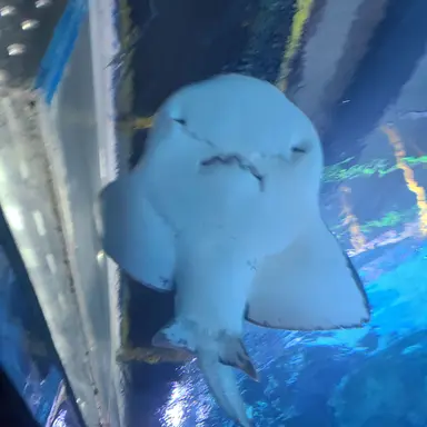 Profile image of 여우