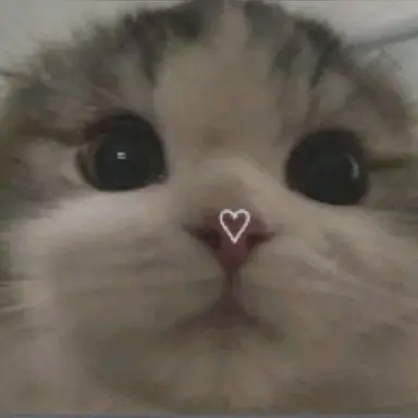 Profile image of {{user}}