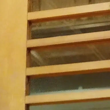 Profile image of 音狂者