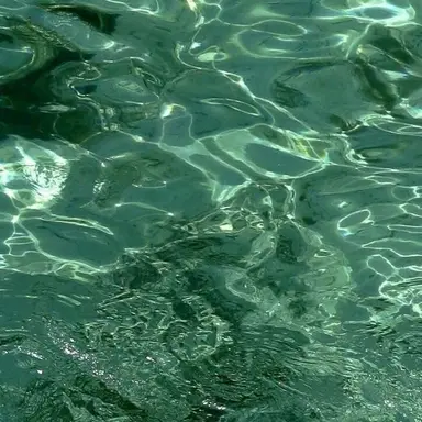 Profile image of 공룡