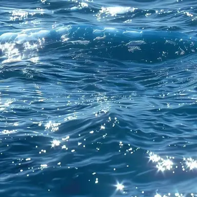 Profile image of 잠뜰