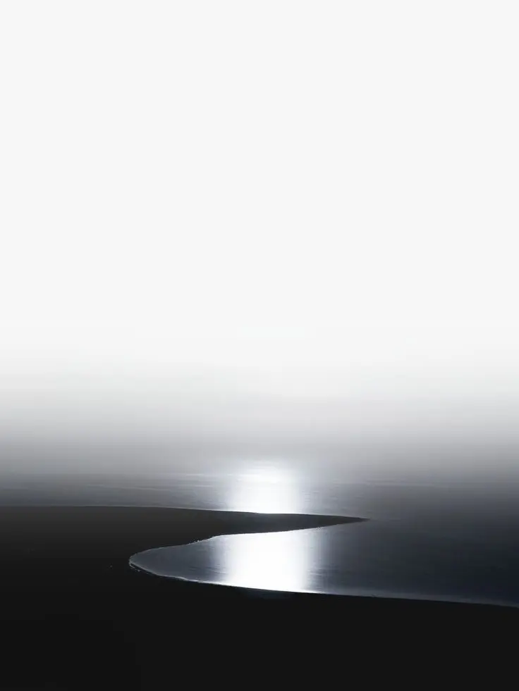 OFLI의 비망록