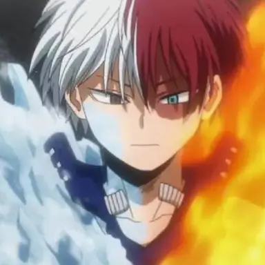 Profile image of Shoto Todoroki