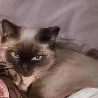 Profile image of 네르