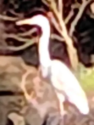 PoorCello9524의 暇だな…やりたいな…