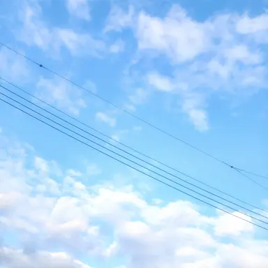 Profile image of 시이나