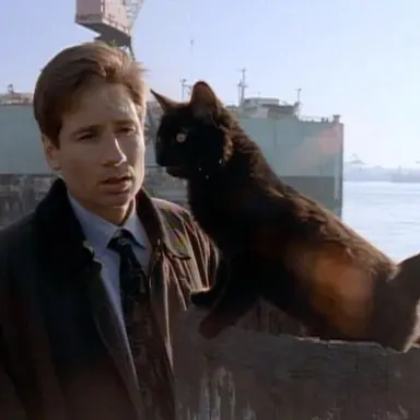 Profile image of Mulder