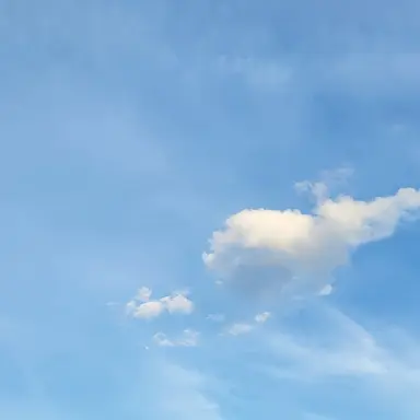 Profile image of 이성윤