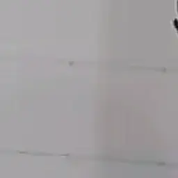 Profile image of 日本