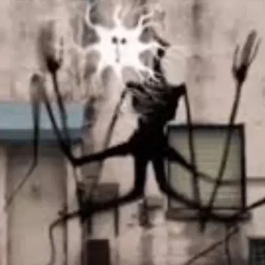Profile image of 롱보이 본사이