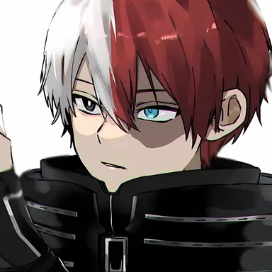 Profile image of Shoto Todoroki