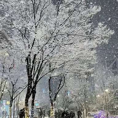 Profile image of 정연지