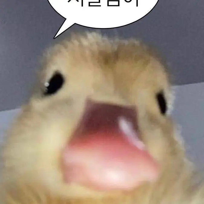 ShinyPages8850의 내남편은 아이돌