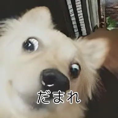 Profile image of マフィアの敵