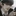 이선우