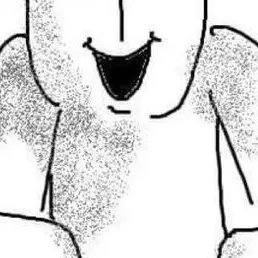 B1ood_n3ko의 폴라레티