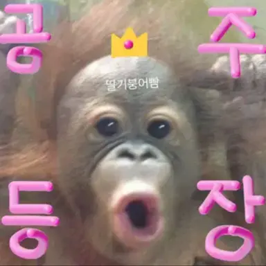 Profile image of 여우