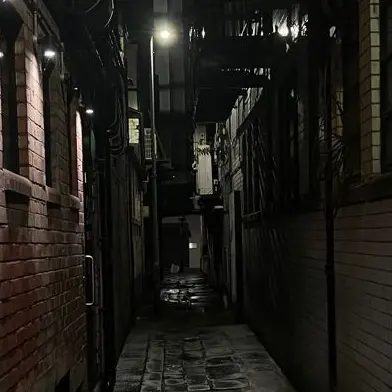 0.72의 골목길 빌런