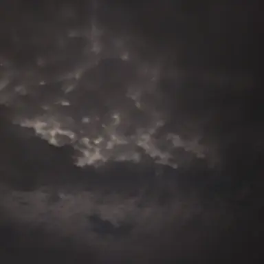 Profile image of 칼라일