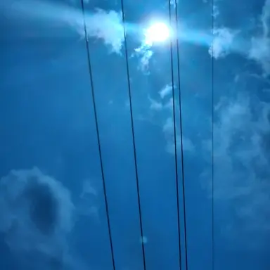 Profile image of 여우