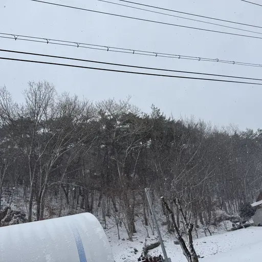 BraveCoat5558의 미널