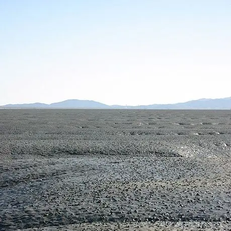 StrictBack5067의 갯벌 체험