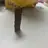 뽀쐐쌰우