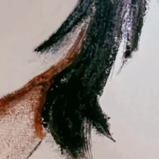 Profile image of 冨岡義勇