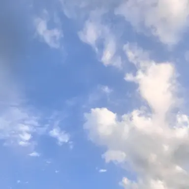 Profile image of 백현