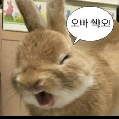 Profile image of 키츠네