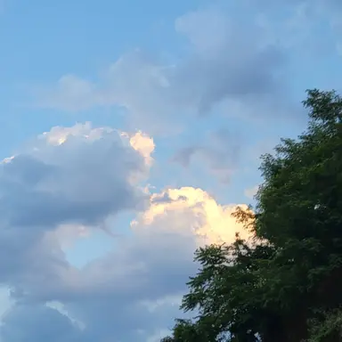 Profile image of 지혜