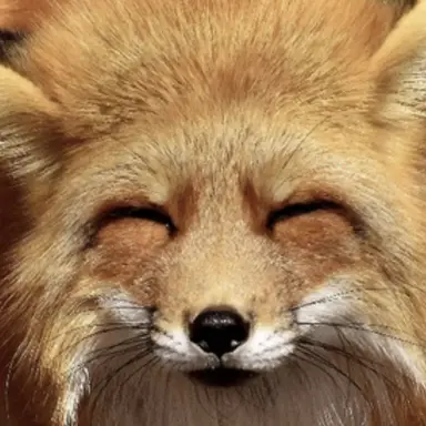 Profile image of 김여우