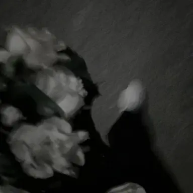 Profile image of 김각별