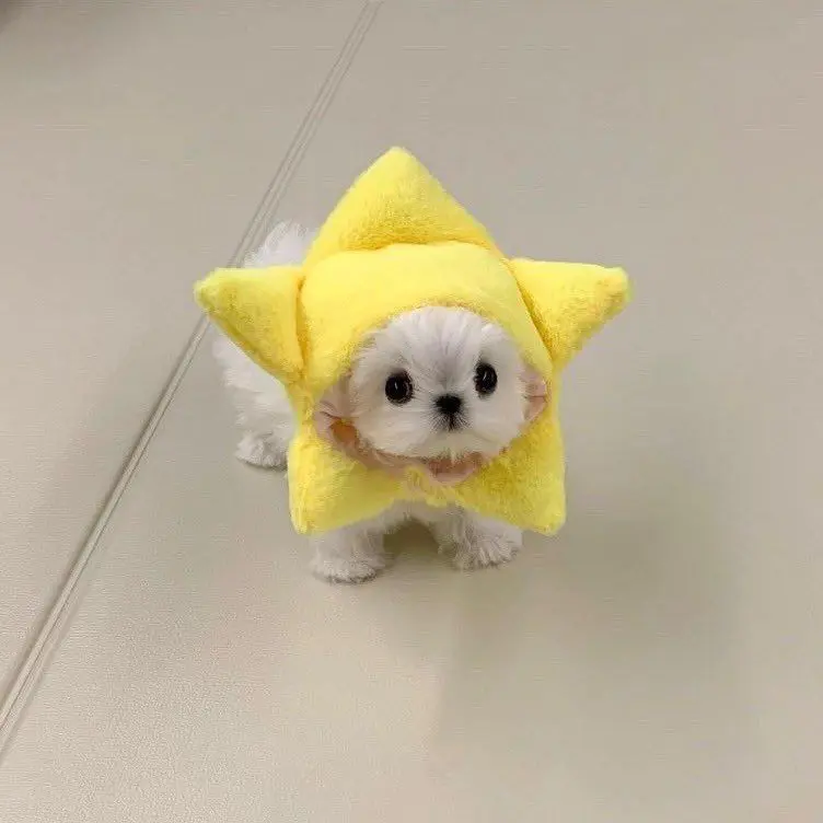 make_a_wish_1210의 その恋愛相談、私の事？