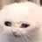 토게