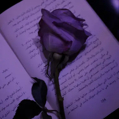 Profile image of 적운터