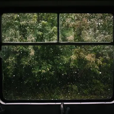 Profile image of 청유성