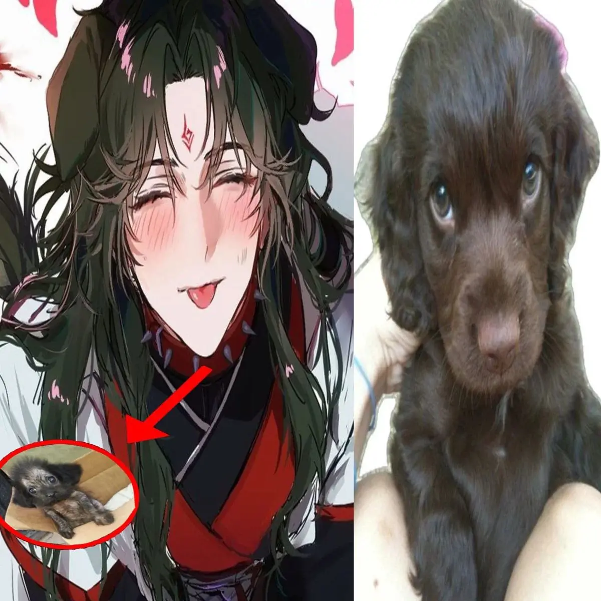 RedSwan의 Luo Binghe