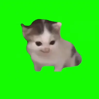 Profile image of 멜로우