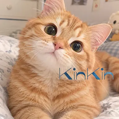 Profile image of チャチャ