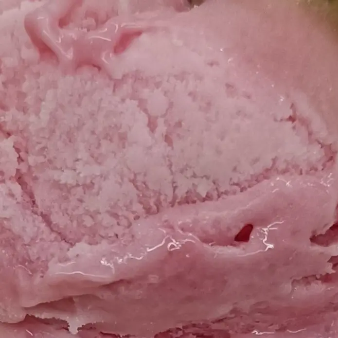 PlainBasil3694의 user様のことを管理