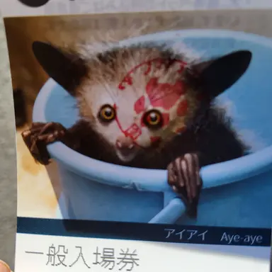 Profile image of 외계인