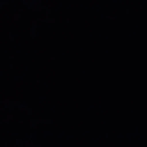 로 건