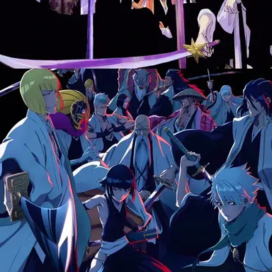Profile image of Gotei 13 Captains